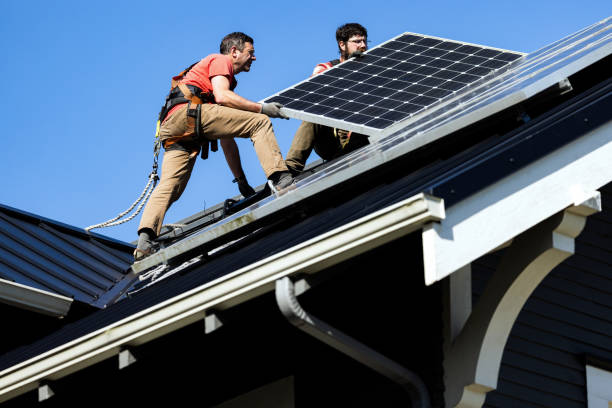 Best Asphalt Shingle Roofing  in Hebbronville, TX
