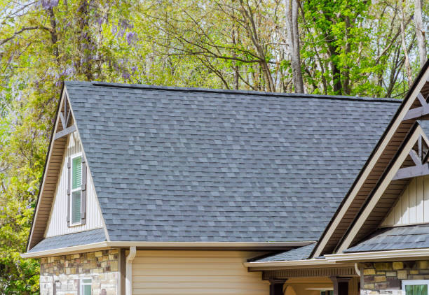 Best Roof Replacement  in Hebbronville, TX